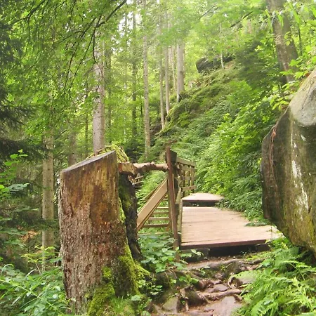 Schwarzwald Oase شقة