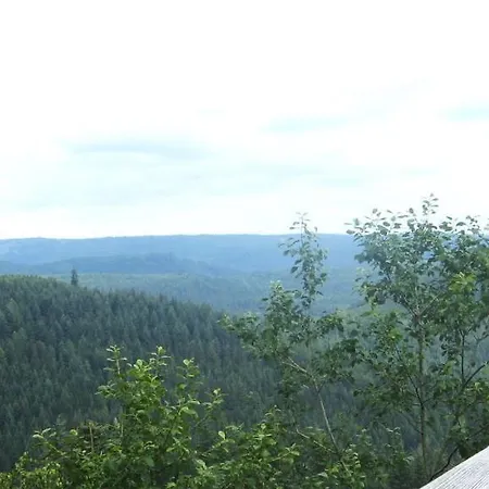 Schwarzwald Oase *