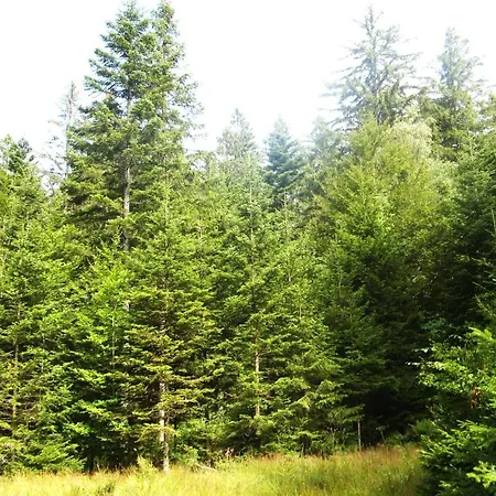 Schwarzwald Oase شقة