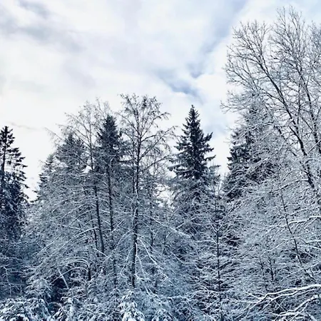 Schwarzwald Oase شقة *