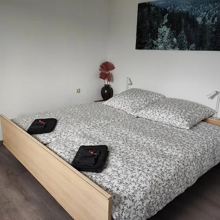 Schwarzwald Oase Lägenhet *